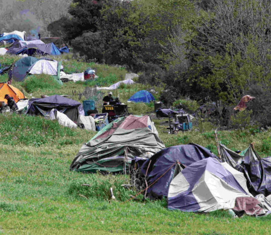 Annual homelessness census shows slight increase In 2024, a string of tents and makeshift shelters lined the Pajaro River levee in Watsonville. (Tarmo Hannula/Pajaronian file)