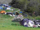 Annual homelessness census shows slight increase In 2024, a string of tents and makeshift shelters lined the Pajaro River levee in Watsonville. (Tarmo Hannula/Pajaronian file)