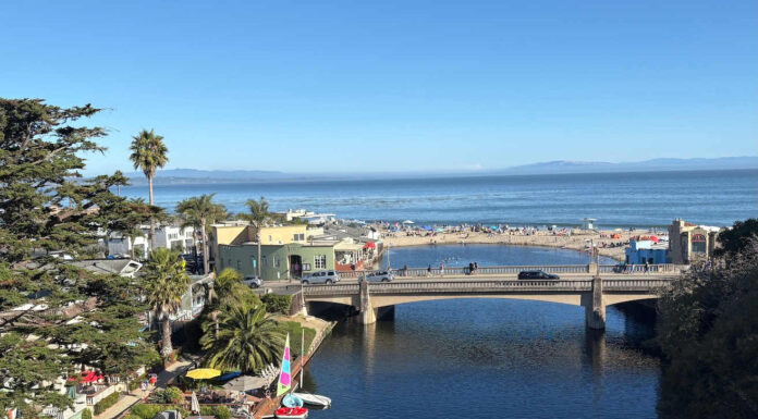 Capitola Art & Wine Festival returns this weekend