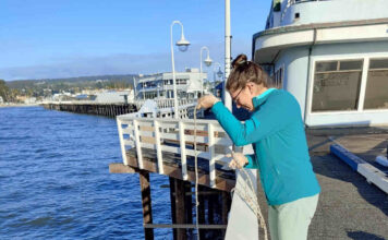 UCSC finds new detection technique for toxic algal blooms